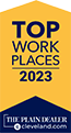 Top Workplace logo